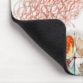 Tapis De Souris Méduse, Discomedusae par Ernst Haeckel (Coin)