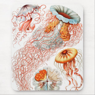 Tapis De Souris Méduse, Discomedusae par Ernst Haeckel