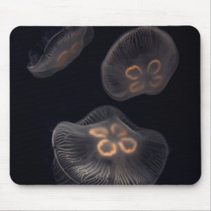 Tapis De Souris Méduse lune nageant