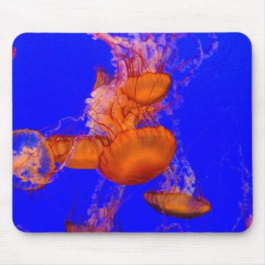 Tapis de souris Méduse Orange | Art de bureau Océa (Devant)