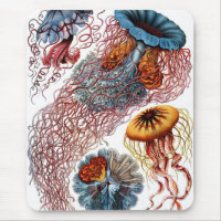 Méduses par Ernst Haeckel