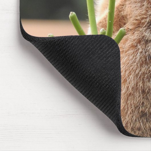 Tapis De Souris Meerkat (Coin)