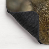 Tapis De Souris Meerkat (Coin)