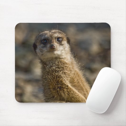 Tapis De Souris Meerkat (Avec souris)