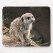 Tapis De Souris Meerkat (Devant)