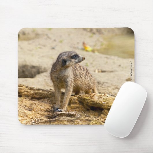 Tapis De Souris Meerkat (Avec souris)