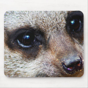 Tapis De Souris Meerkat