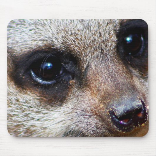 Tapis De Souris Meerkat (Devant)