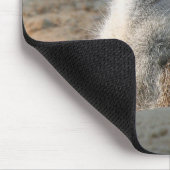 Tapis De Souris Meerkat 004 (Coin)