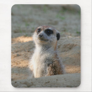 Tapis De Souris Meerkat 004