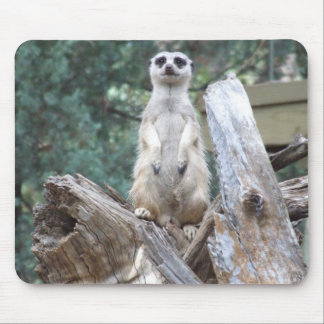 Tapis De Souris Meerkat Mousepad