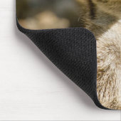 Tapis De Souris Meerkat Mousepad (Coin)