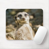 Tapis De Souris Meerkat Mousepad (Avec souris)