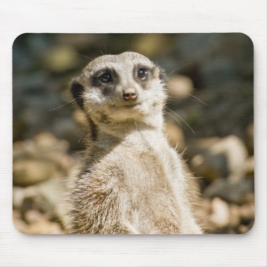 Tapis De Souris Meerkat Mousepad (Devant)