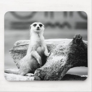 Tapis De Souris Meerkat noir et blanc sur un arbre