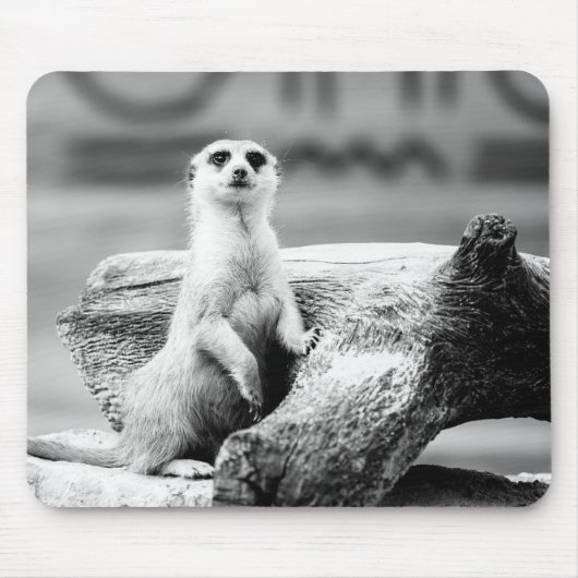 Tapis De Souris Meerkat noir et blanc sur un arbre (Devant)