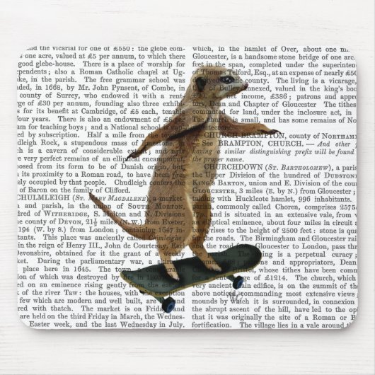 Tapis De Souris Meerkat Sur Skateboard 2 (Devant)