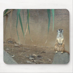 Tapis De Souris Meerkats