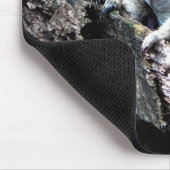 Tapis De Souris Meerkats (Coin)