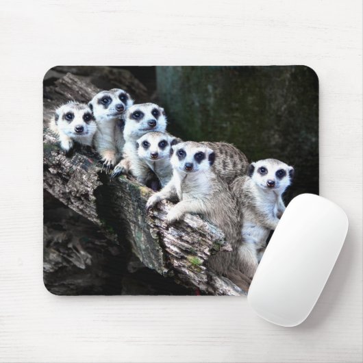 Tapis De Souris Meerkats (Avec souris)