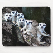 Tapis De Souris Meerkats (Devant)