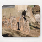 Tapis De Souris Meerkats (Devant)