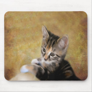 Tapis De Souris Meet Tiger