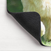 Tapis De Souris meilleurs amis (Coin)