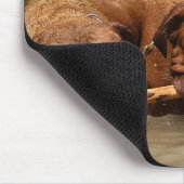 Tapis De Souris Meilleurs amis (Coin)