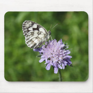 Tapis De Souris Melanargia galathea