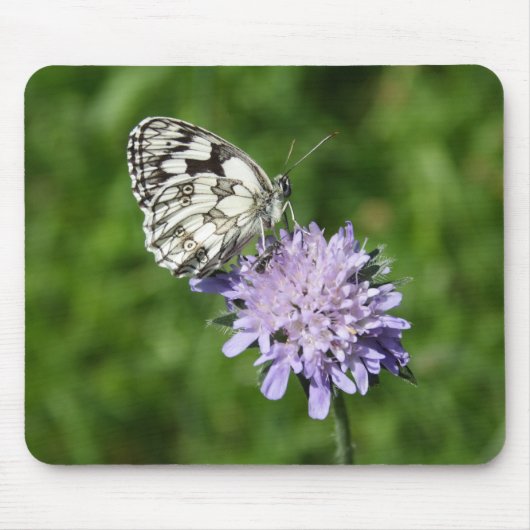 Tapis De Souris Melanargia galathea (Devant)