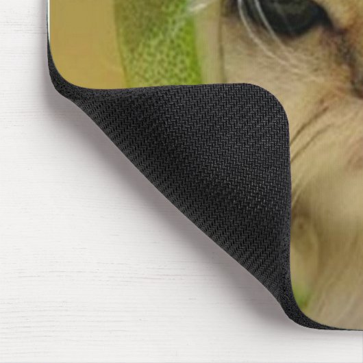 Tapis De Souris Melon de chat (Coin)