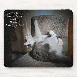 Tapis De Souris Mème de réparation de rembourrage de chat