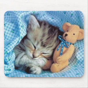 Tapis De Souris Même nounours d'amour de chatons