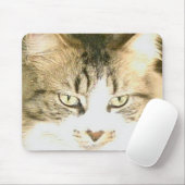 Tapis De Souris Meow Cats 14 Mousepad (Avec souris)