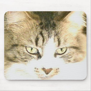 Tapis De Souris Meow Cats 14 Mousepad