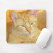 Tapis De Souris Meow Cats 15 Mousepad (Avec souris)