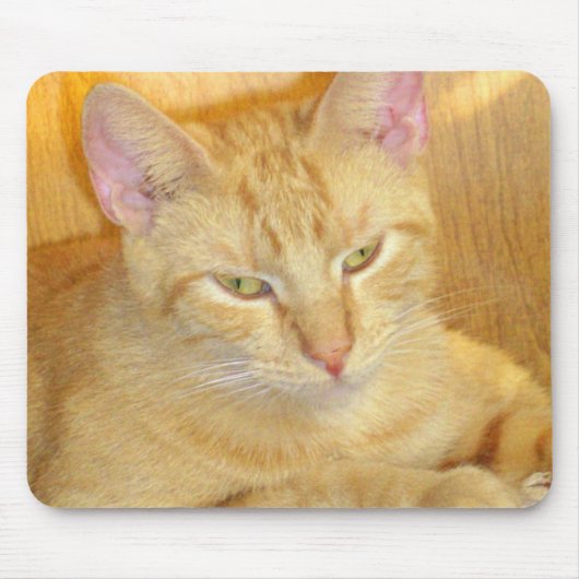 Tapis De Souris Meow Cats 15 Mousepad (Devant)