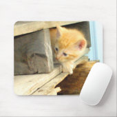 Tapis De Souris Meow Cats 1 MousePad (Avec souris)
