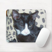 Tapis De Souris Meow Cats 20 Mousepad (Avec souris)