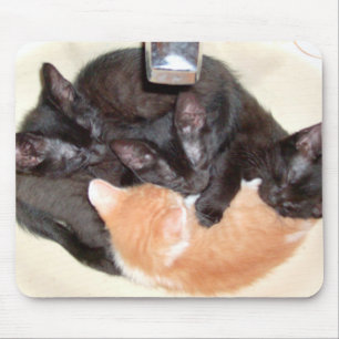 Tapis De Souris Meow Cats 37 Mousepad
