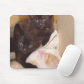 Tapis De Souris Meow Cats 38 Mousepad (Avec souris)