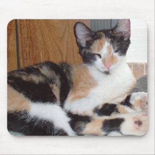 Tapis De Souris Meow Cats 39 Mousepad