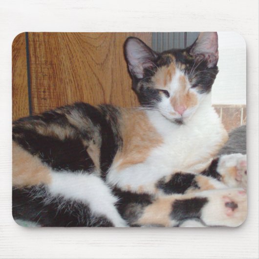 Tapis De Souris Meow Cats 39 Mousepad (Devant)