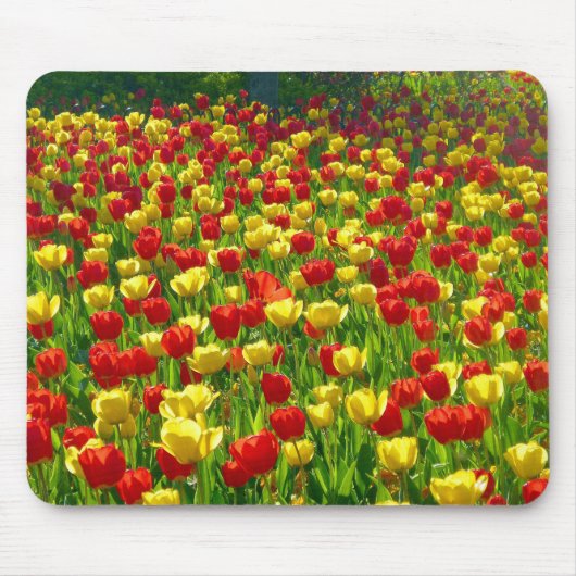 Tapis De Souris Mer des Tulipes (Devant)