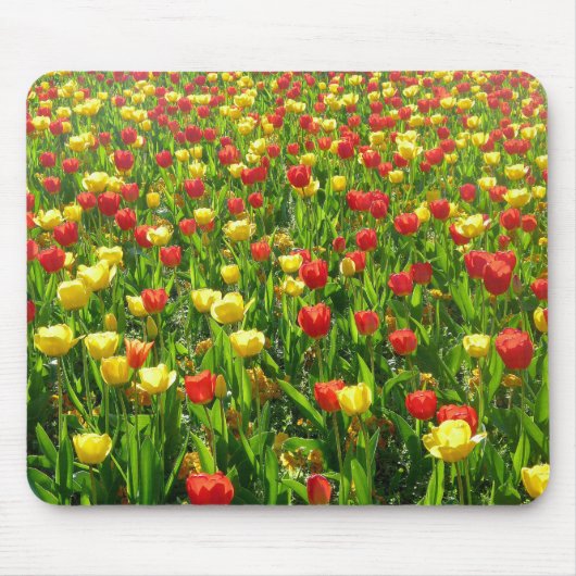Tapis De Souris Mer des Tulipes II (Devant)