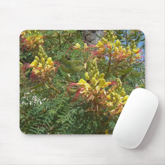 Tapis De Souris Merak (Avec souris)