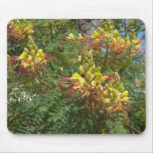 Tapis De Souris Merak (Devant)