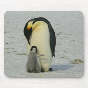 Tapis De Souris Mère et bébé Penguin