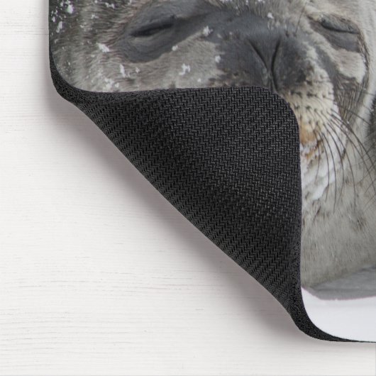 Tapis De Souris Mère Et Bébé Seal Love (Coin)